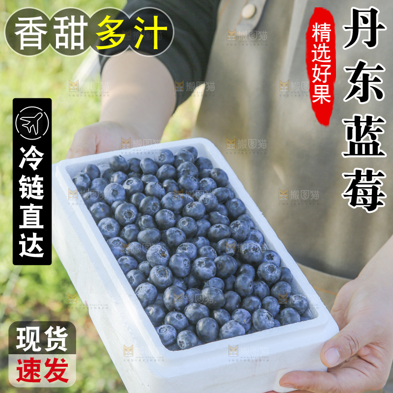 手里拿着蓝莓鲜果