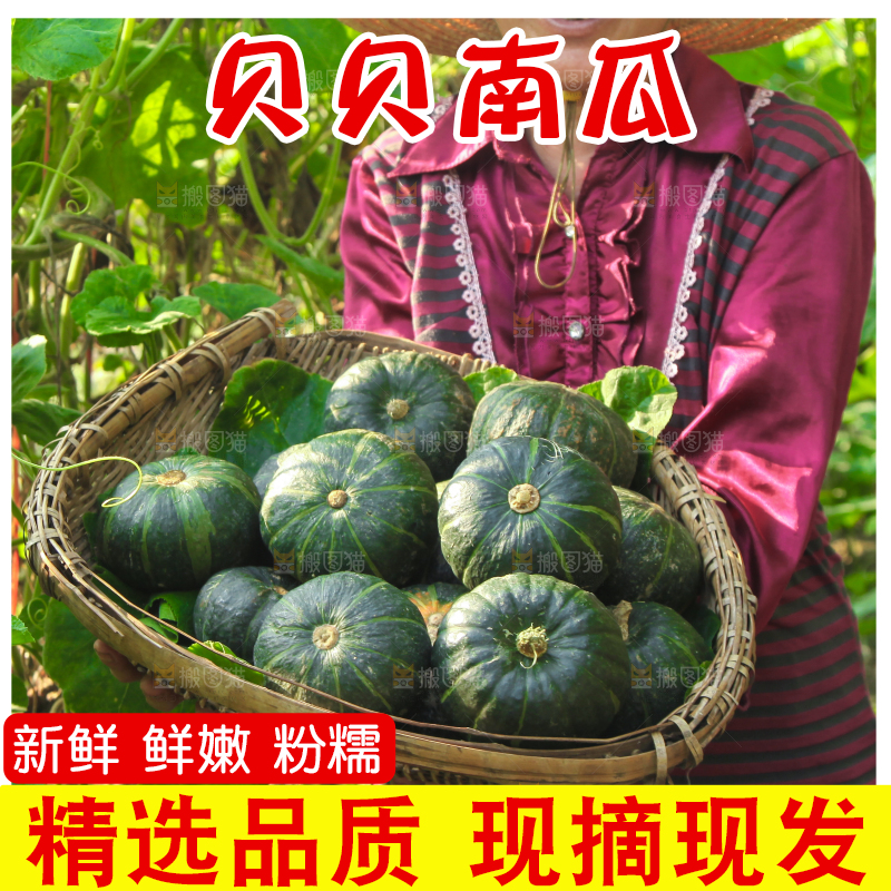 手里拿着贝贝南瓜