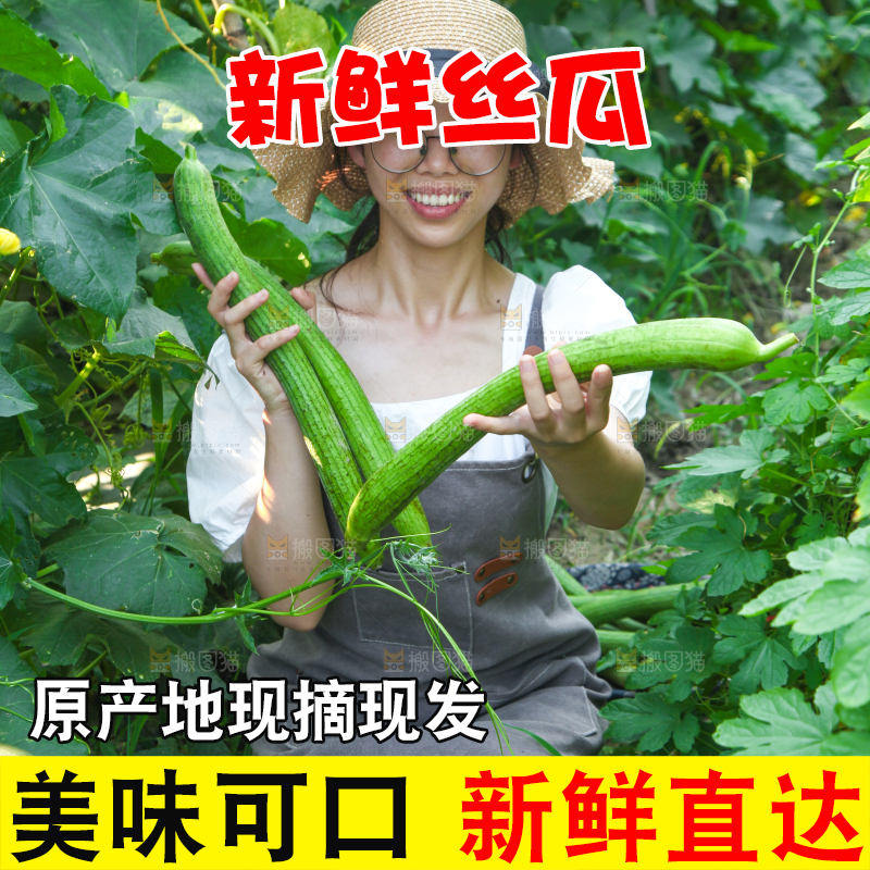 手里拿着长丝瓜