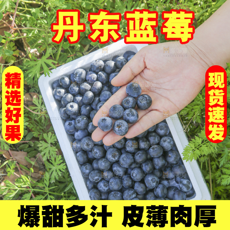 手里拿着蓝莓鲜果