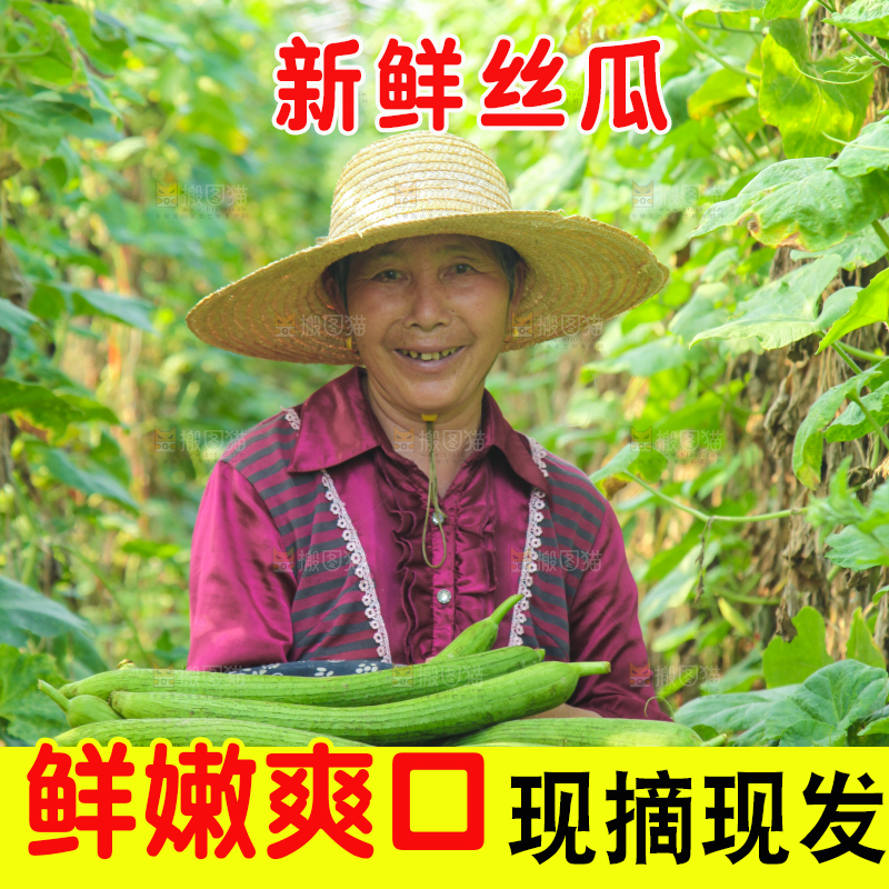 手里拿着长丝瓜