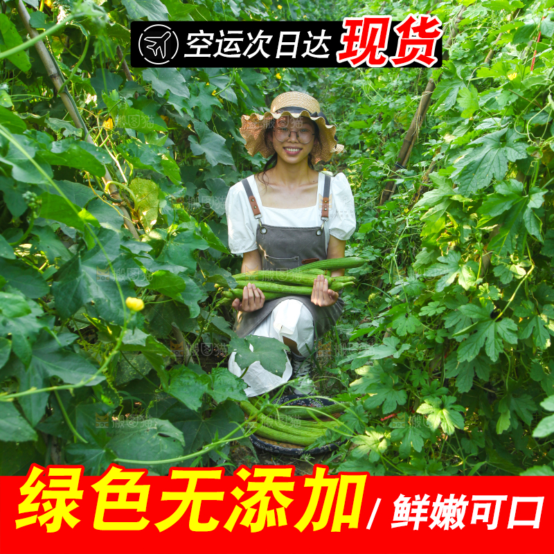 手里拿着长丝瓜