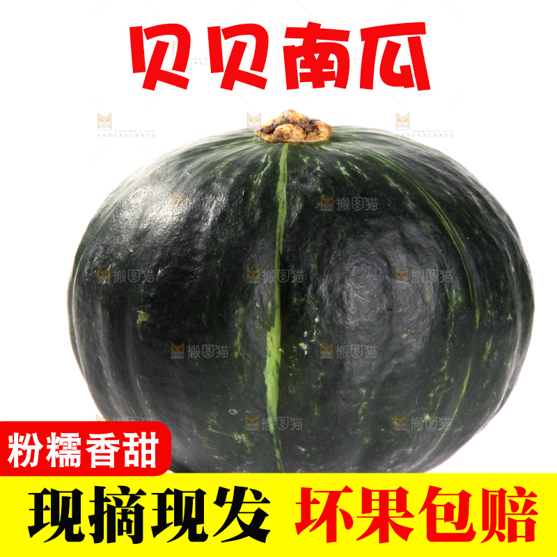 白底上放着的贝贝南瓜