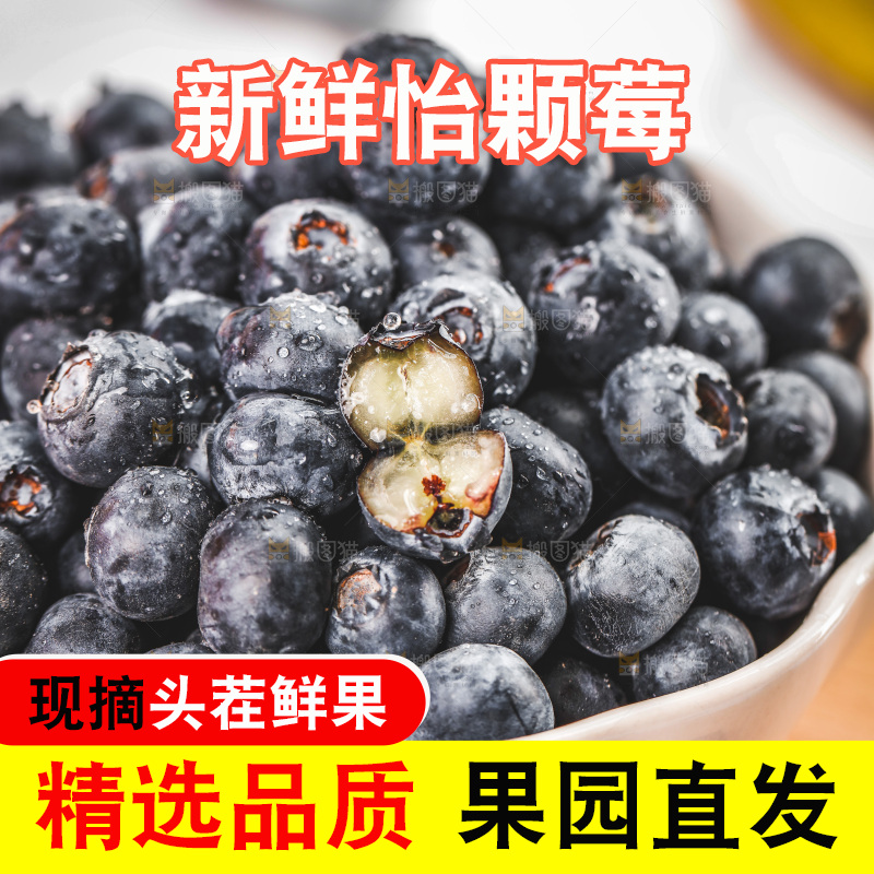 浅底上的新鲜蓝莓