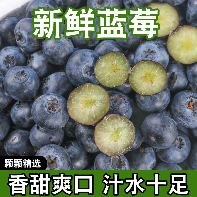 浅底上的怡颗莓