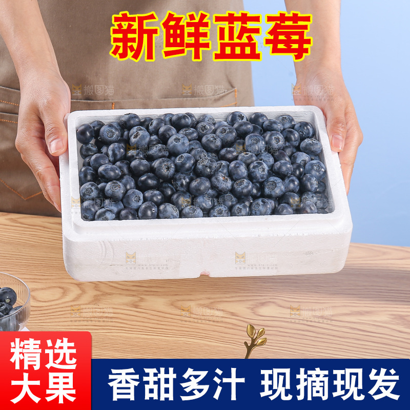 浅底上的怡颗莓