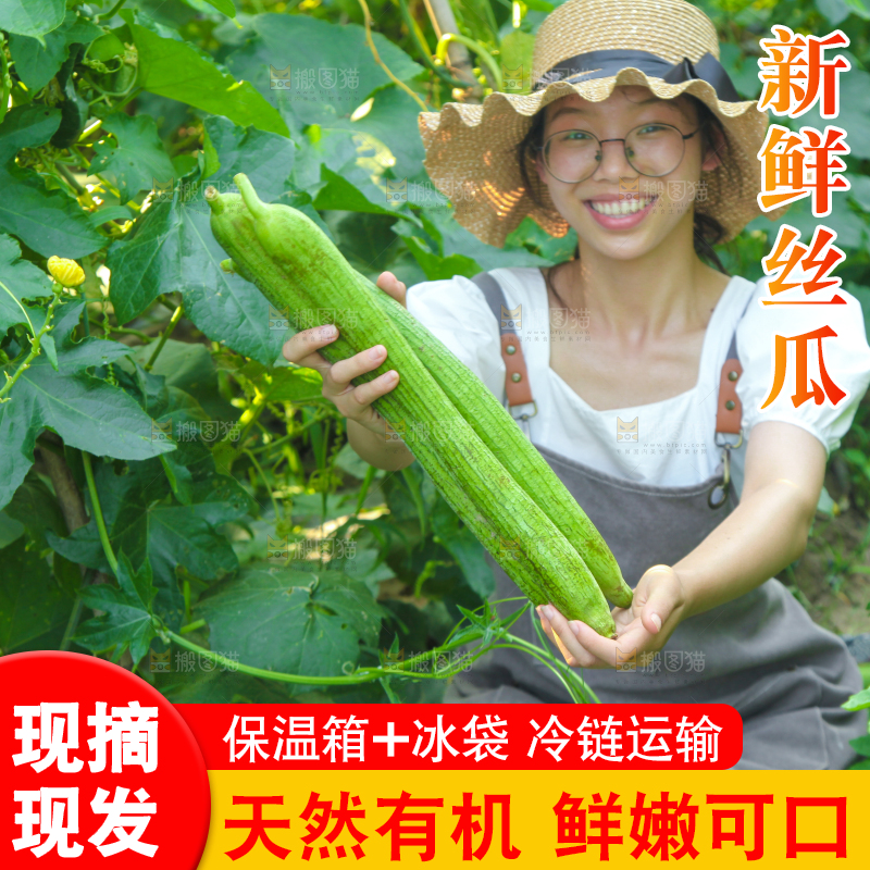 手里拿着长丝瓜
