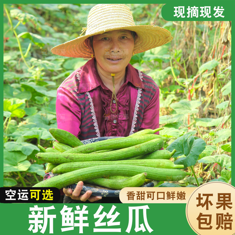 手里拿着长丝瓜