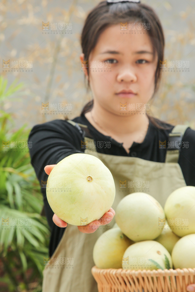 手里拿着郁金香甜瓜