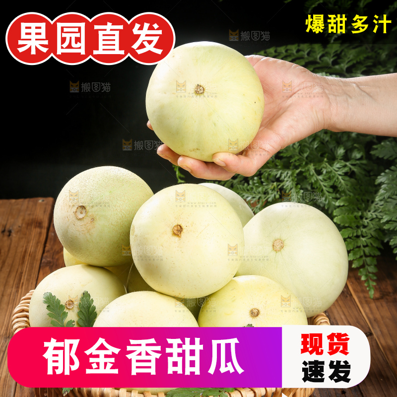木底上的云南小香瓜