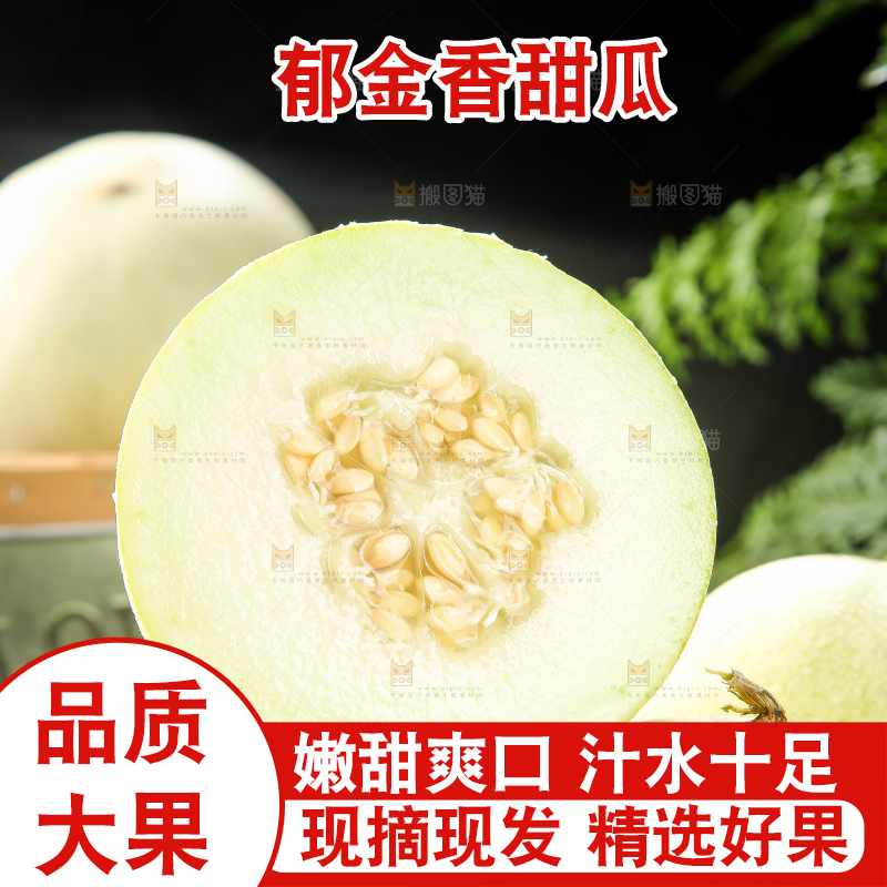 深底上的郁金香甜瓜
