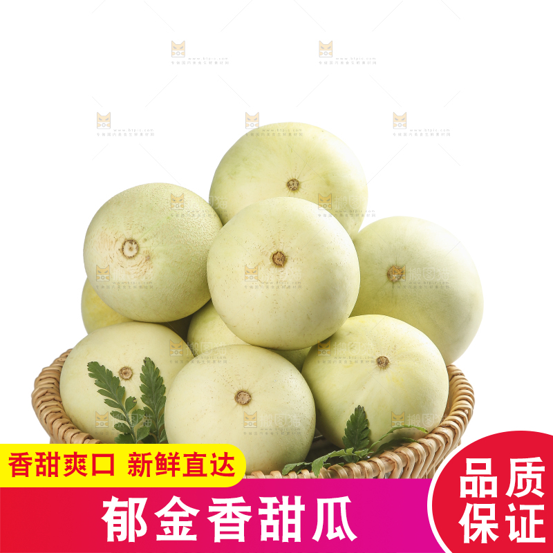 白底上的郁金香甜瓜