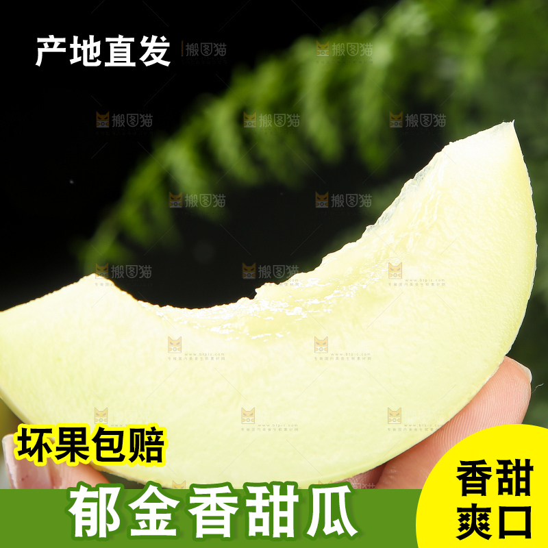 深底上的郁金香甜瓜