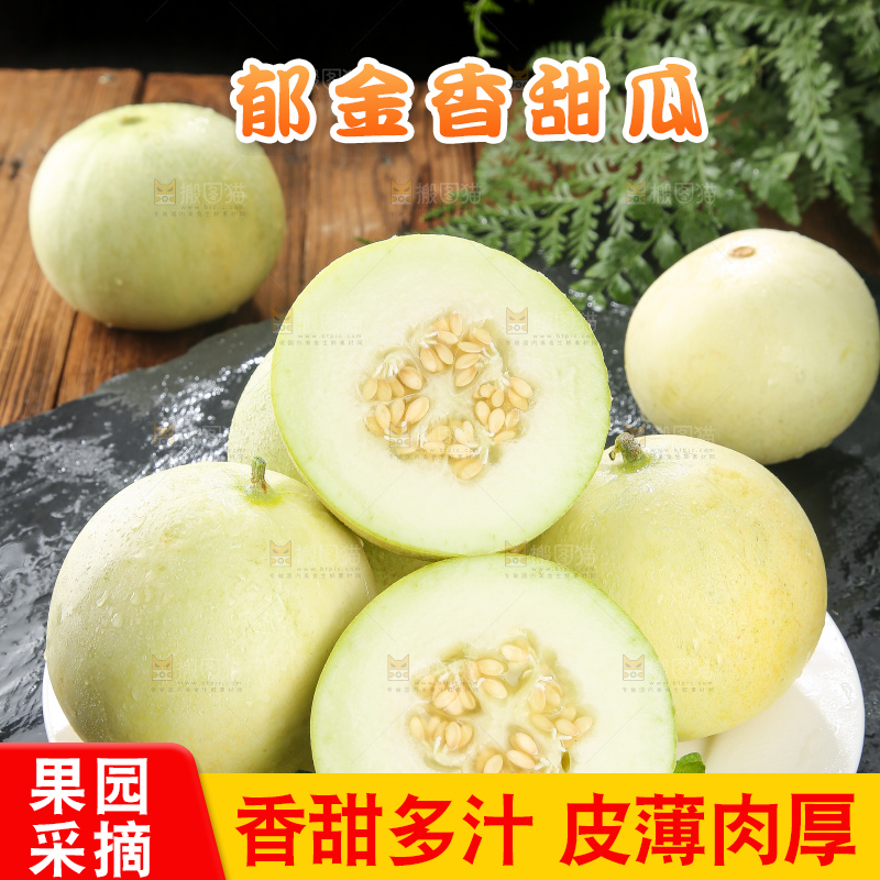 深底上的郁金香甜瓜