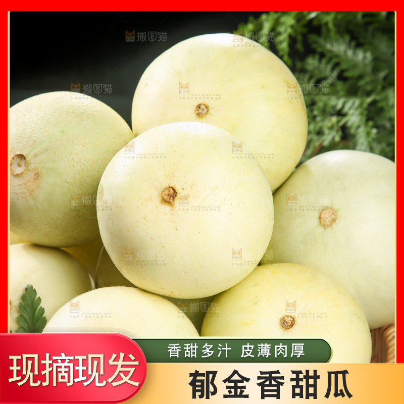 木底上的云南小香瓜