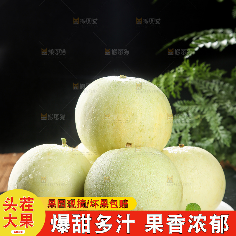深底上的郁金香甜瓜