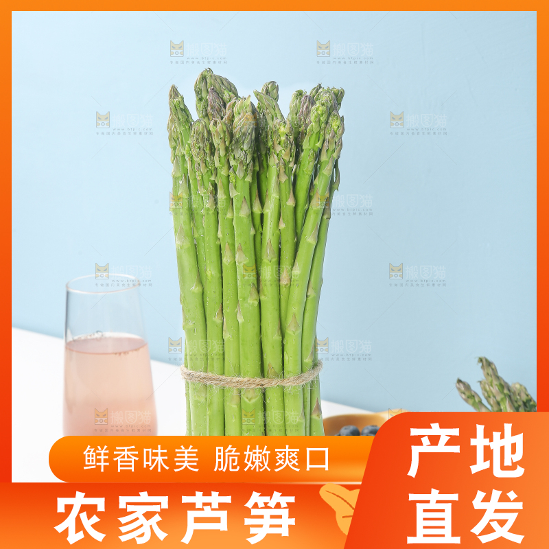 浅底上的青芦笋