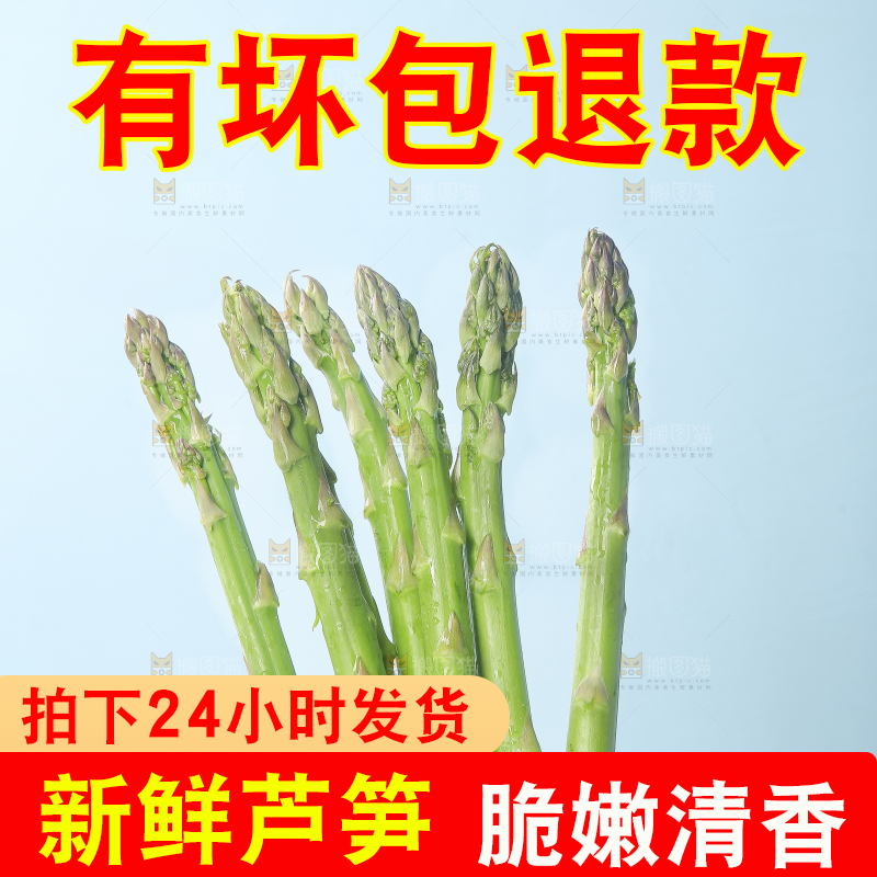 浅底上的青芦笋