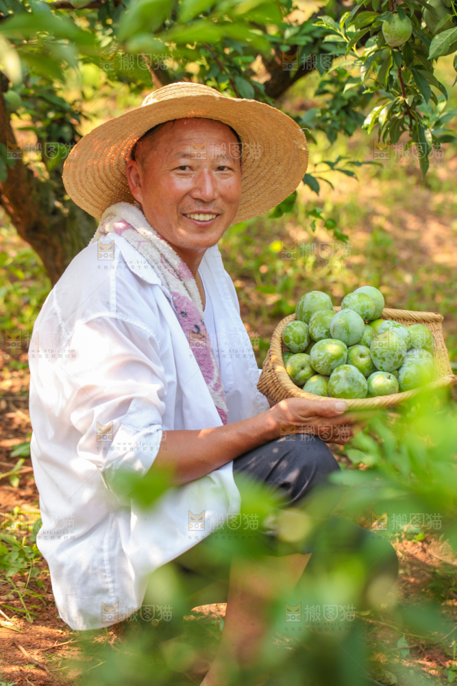 手里拿着新鲜奈李
