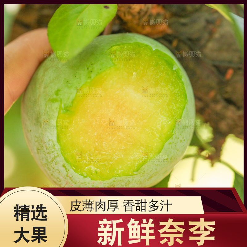 树上的新鲜奈李