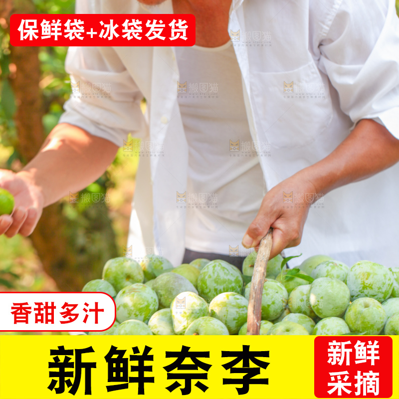 手里拿着新鲜奈李