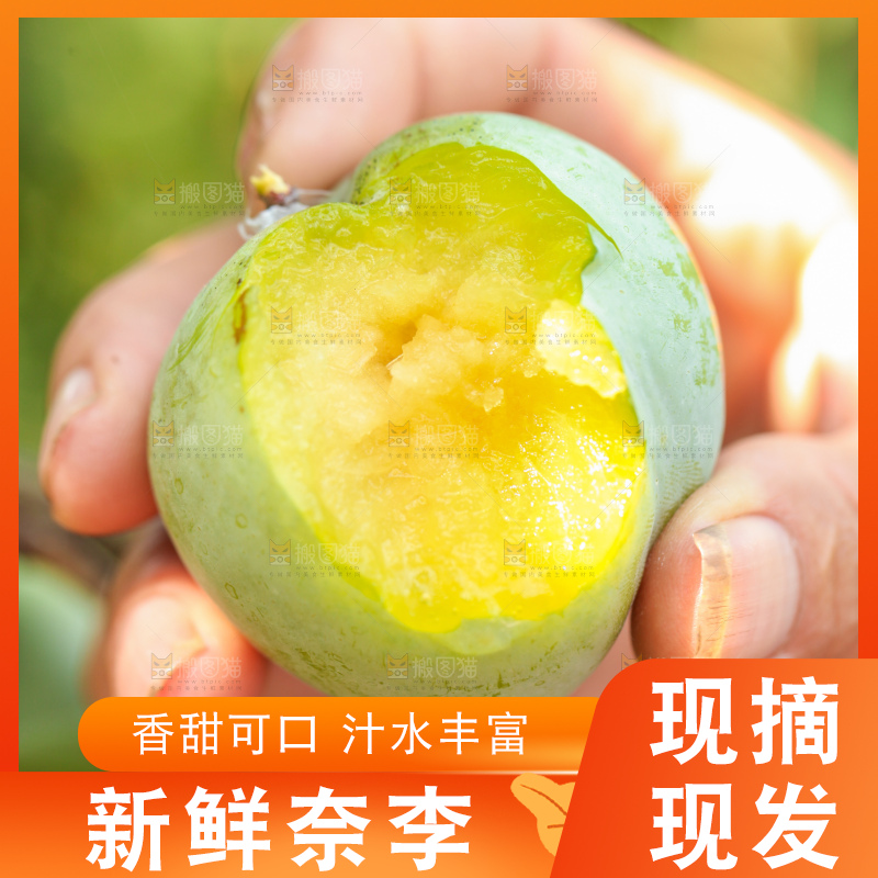 树上的新鲜奈李