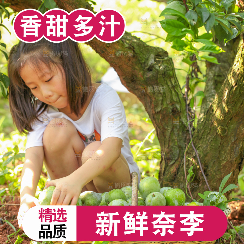 堆放着新鲜奈李
