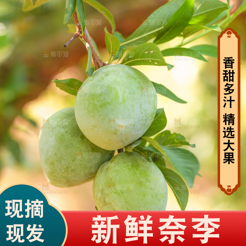 树上的新鲜奈李