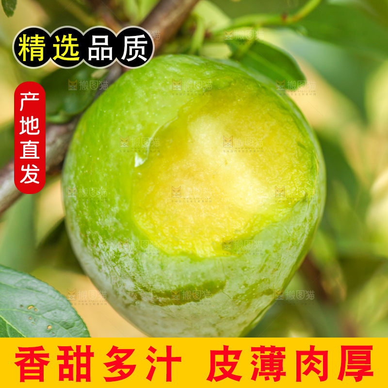 树上的新鲜奈李
