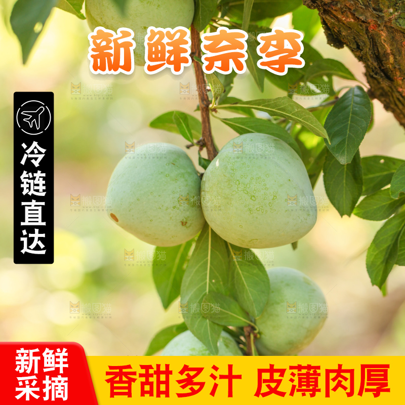 树上的新鲜奈李
