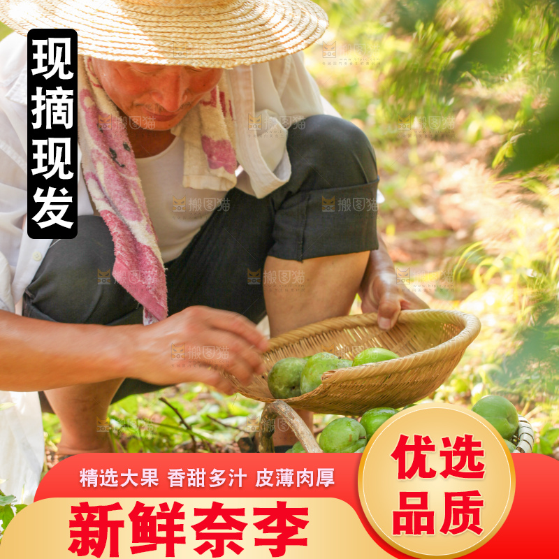 堆放着新鲜奈李