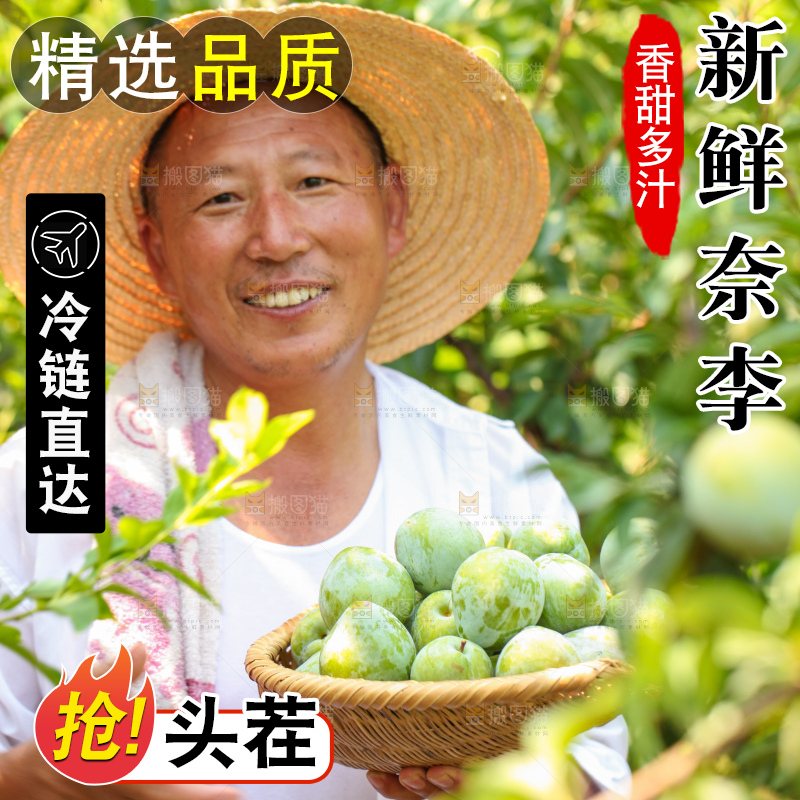 手里拿着新鲜奈李