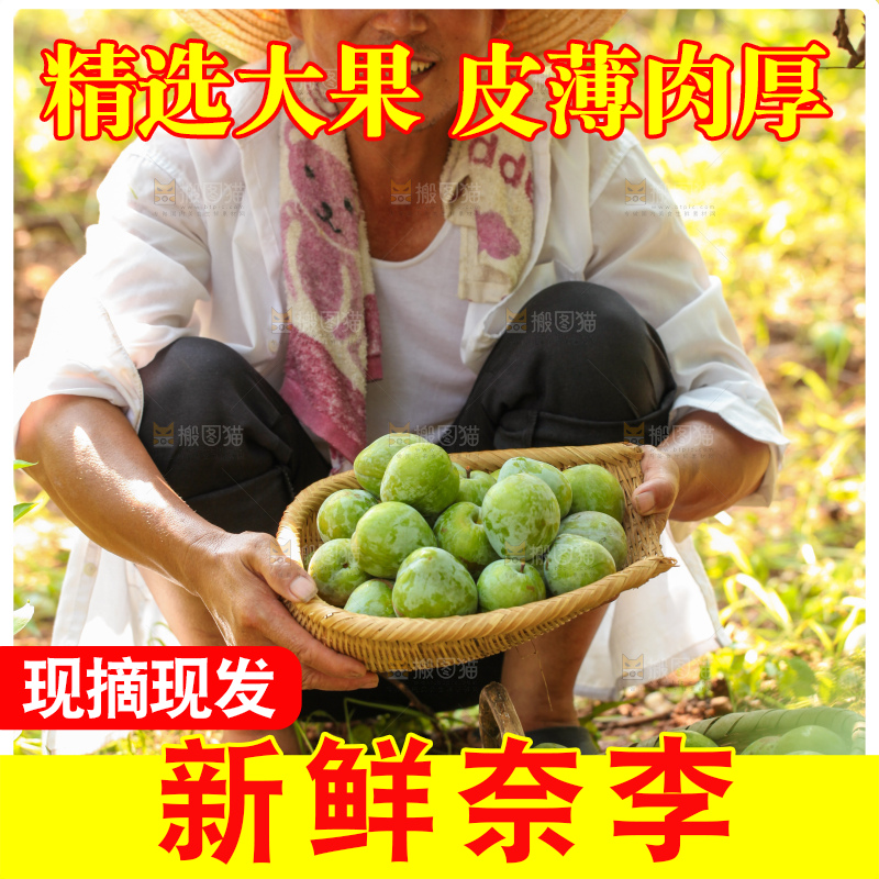 堆放着新鲜奈李