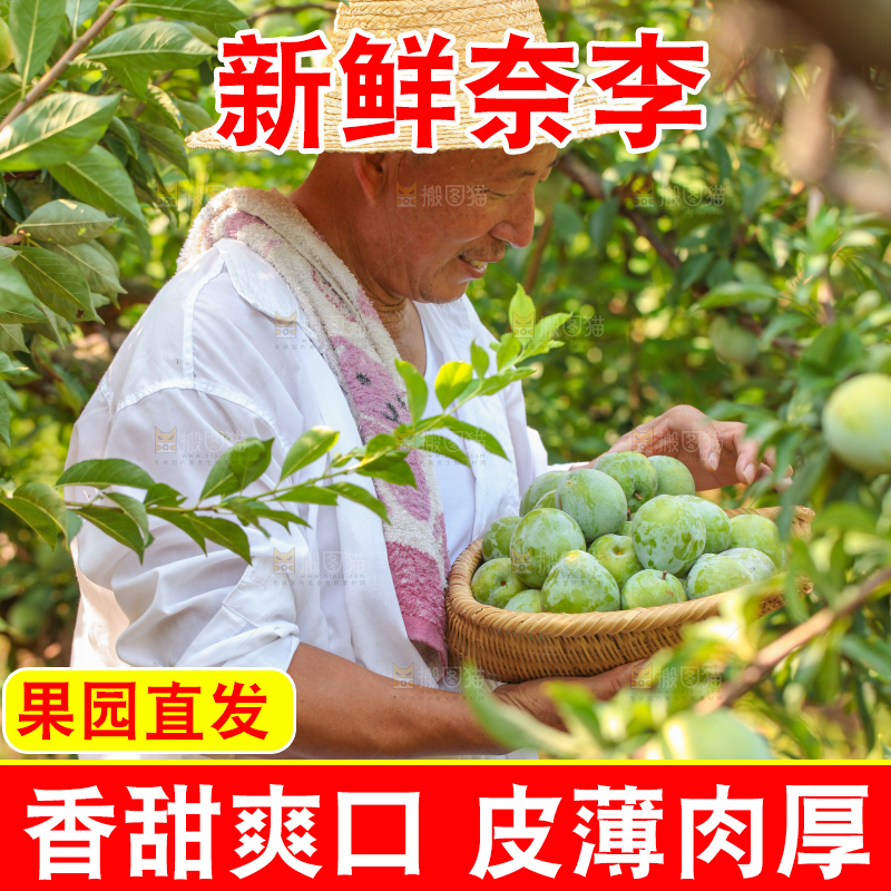 手里拿着新鲜奈李