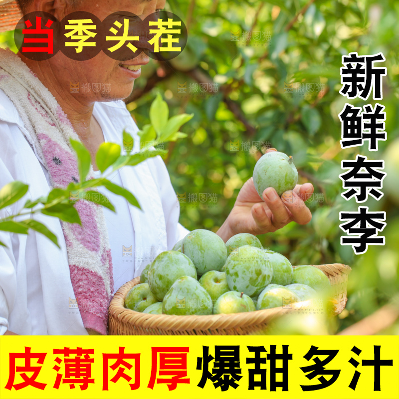 手里拿着新鲜奈李