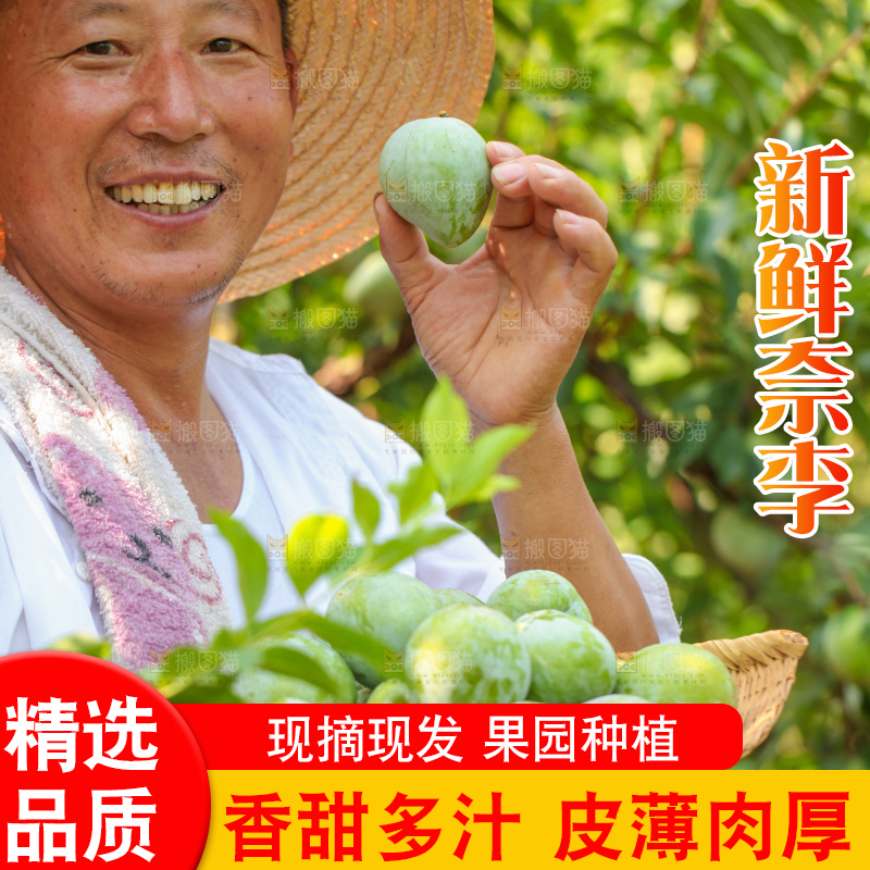 手里拿着新鲜奈李