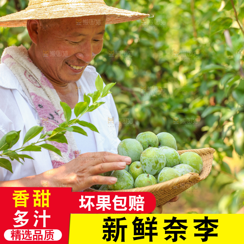 手里拿着新鲜奈李