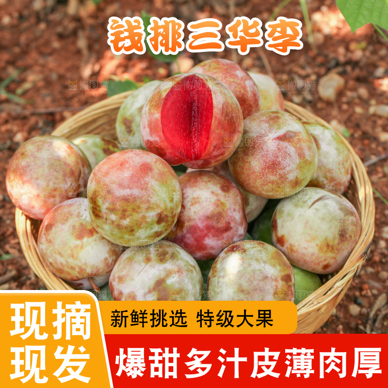 地上放着红肉三华李