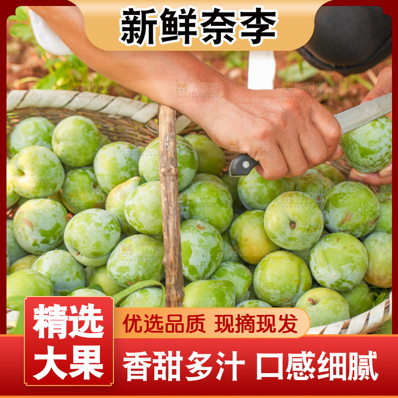 手里拿着新鲜奈李