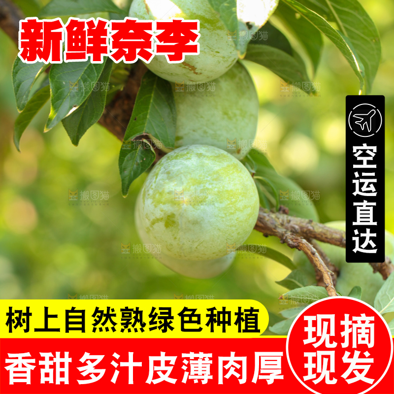 树上的新鲜奈李