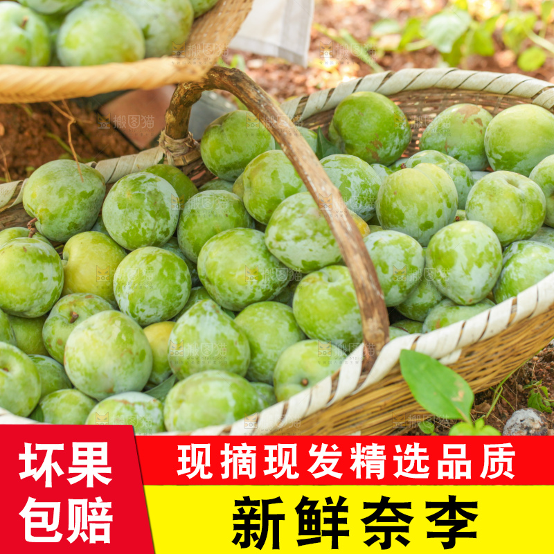 堆放着新鲜奈李