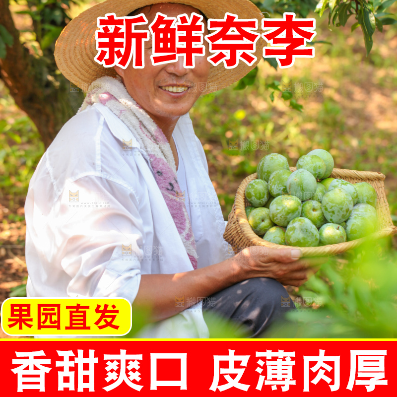 手里拿着新鲜奈李