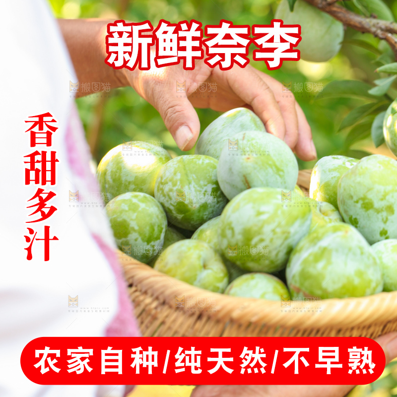 手里拿着新鲜奈李