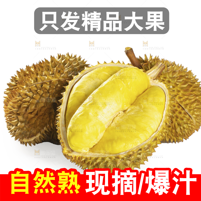 白底上的金枕榴莲