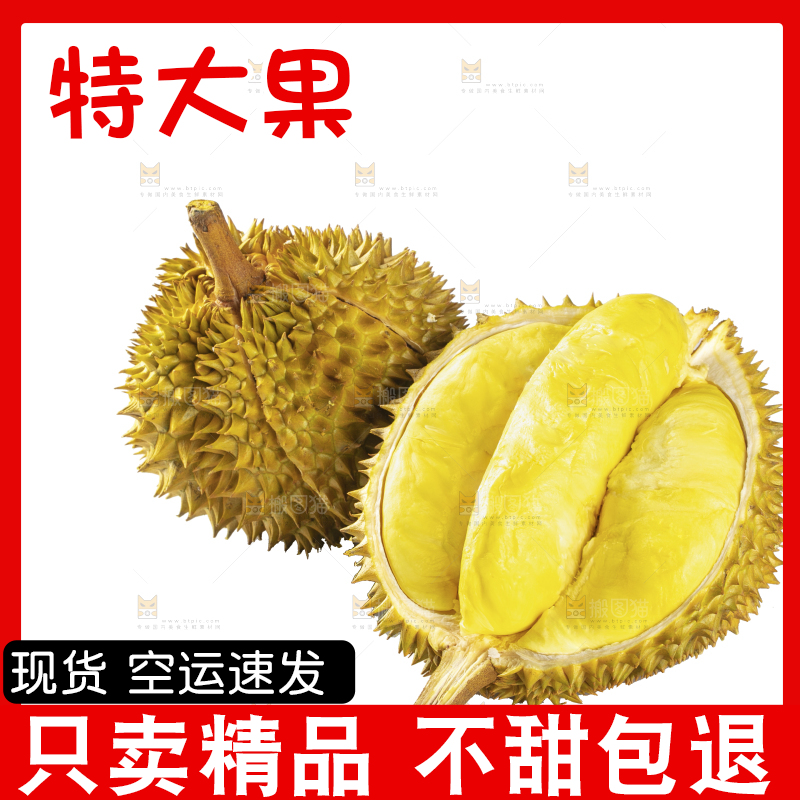 白底上的金枕榴莲