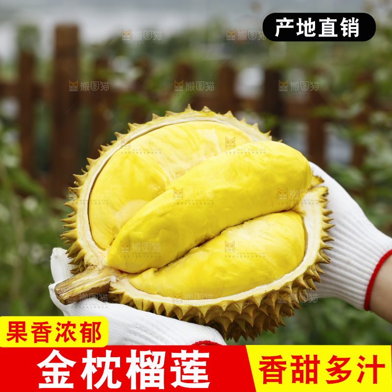 手里拿着金枕榴莲