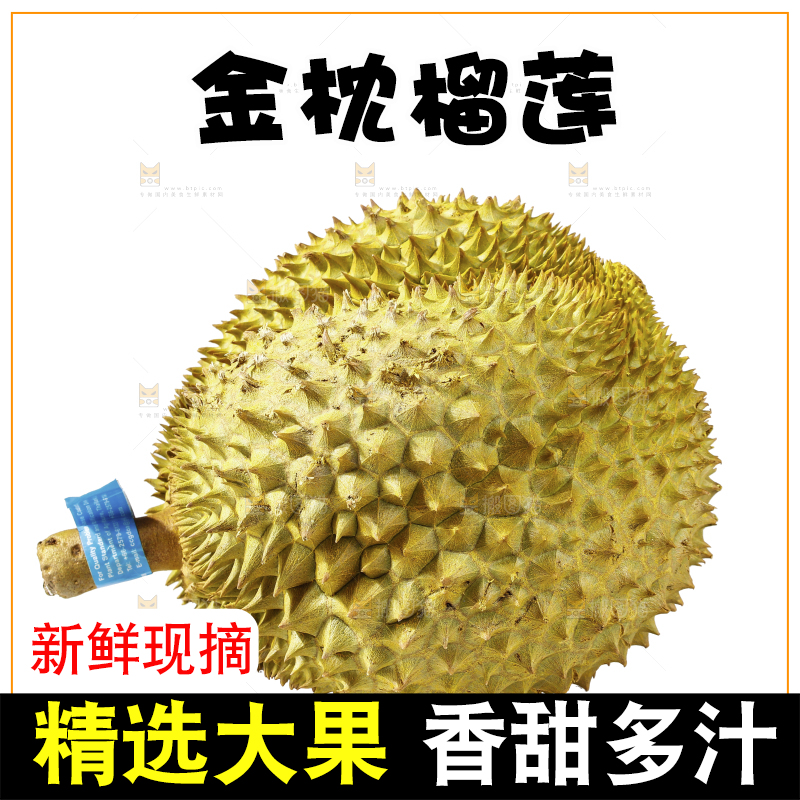白底上的金枕榴莲