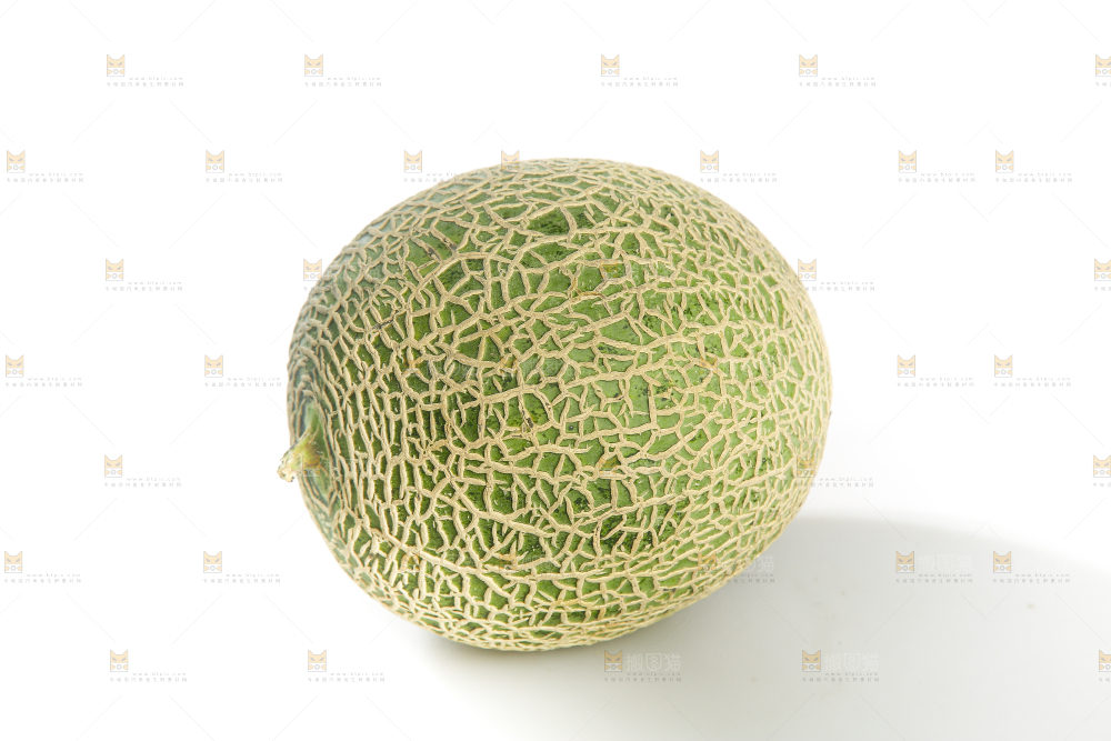 白底上的网纹蜜瓜