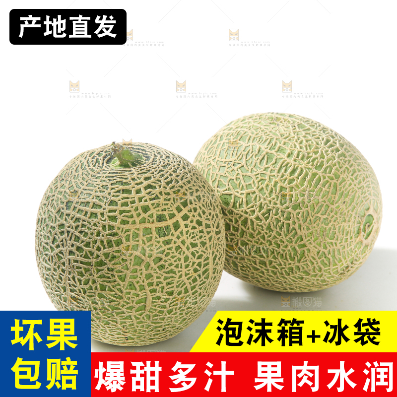 白底上的网纹蜜瓜
