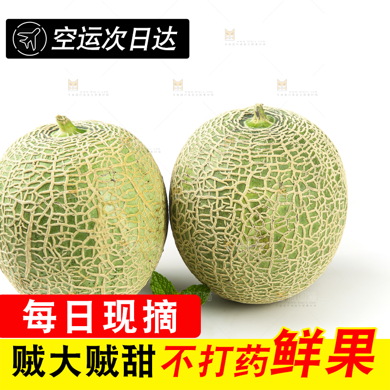 白底上的网纹蜜瓜